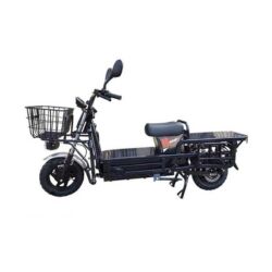 Electric Tricycle VG-EB